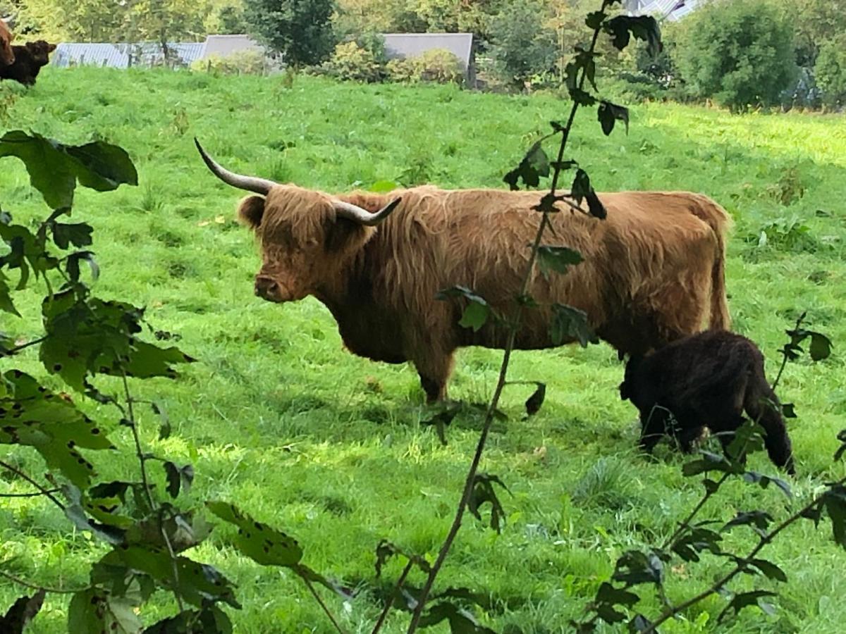 Schoene Aussicht Sauerland By Koelbel Familienurlaub Mit Hund Schmallenberg Dış mekan fotoğraf